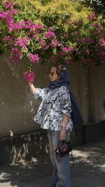 شومیز گلدیس - Image 3